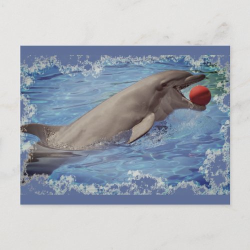 Bottlenose dolphin swimming with red ball postcard