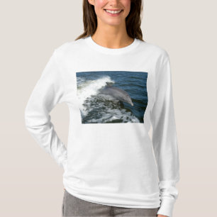 Bottlenose Dolphin T-Shirt