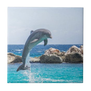 Bottlenose Dolphin Tile by Theraven14 at Zazzle