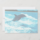 Bottlenose dolphin (Tursiops truncatus), Bahama Is (Back)