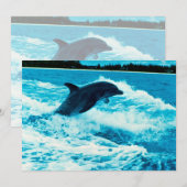 Bottlenose dolphin (Tursiops truncatus), Bahama Is (Front/Back)