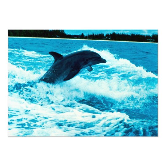 Bottlenose dolphin (Tursiops truncatus), Bahama Is Card