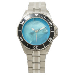 Bottlenose Dolphin Underwater Watch