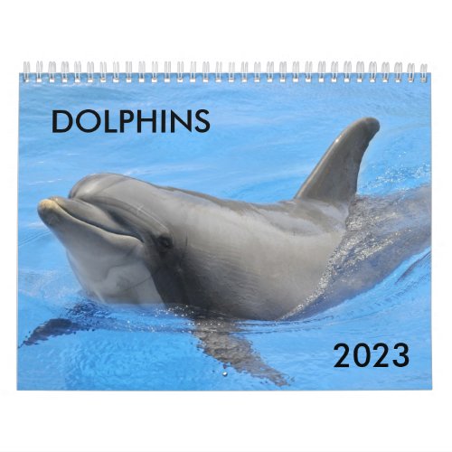 Bottlenose dolphins calendar
