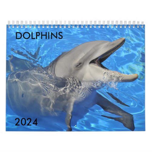 Bottlenose dolphins calendar