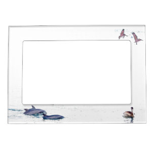 Bottlenose Dolphins Pelican Magnetic Frame