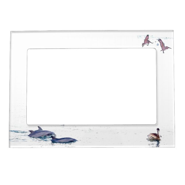 Bottlenose Dolphins Pelican Magnetic Frame (Front)