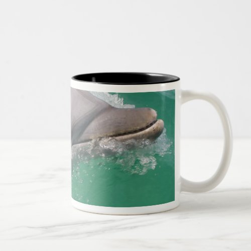 Bottlenose Dolphins Tursiops truncatus 23 Two_Tone Coffee Mug