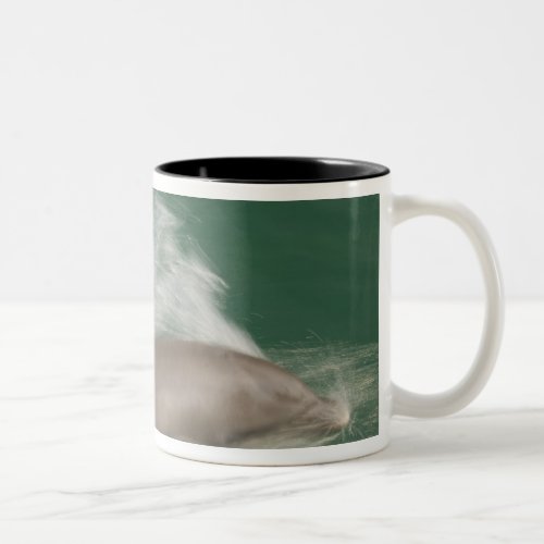 Bottlenose Dolphins Tursiops truncatus 28 Two_Tone Coffee Mug