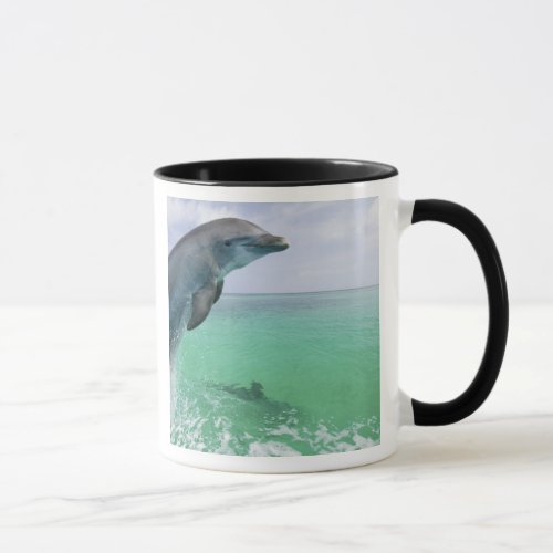 Bottlenose Dolphins Tursiops truncatus 29 Mug