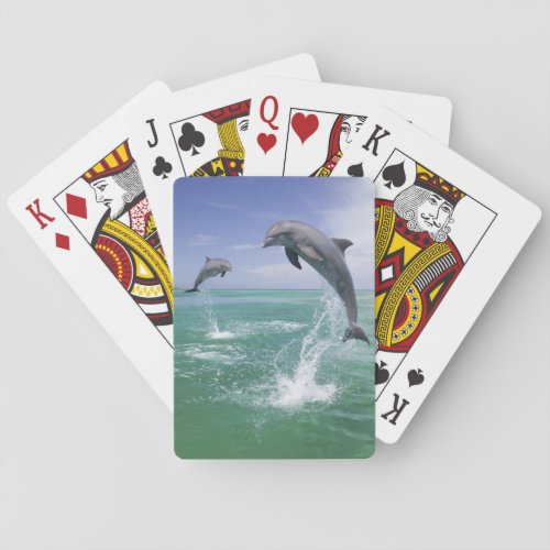 Bottlenose Dolphins Tursiops truncatus 4 Playing Cards