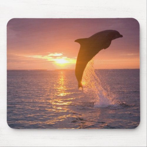 Bottlenose Dolphins Tursiops truncatus 9 Mouse Pad