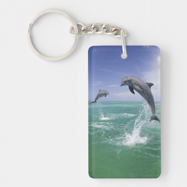 Bottlenose Dolphins Tursiops truncatus Keychain (Front)