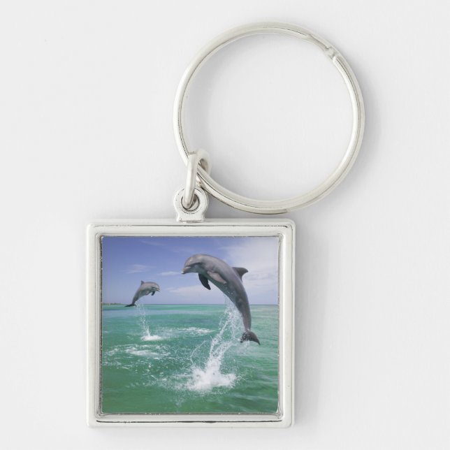 Bottlenose Dolphins Tursiops truncatus Keychain (Front)