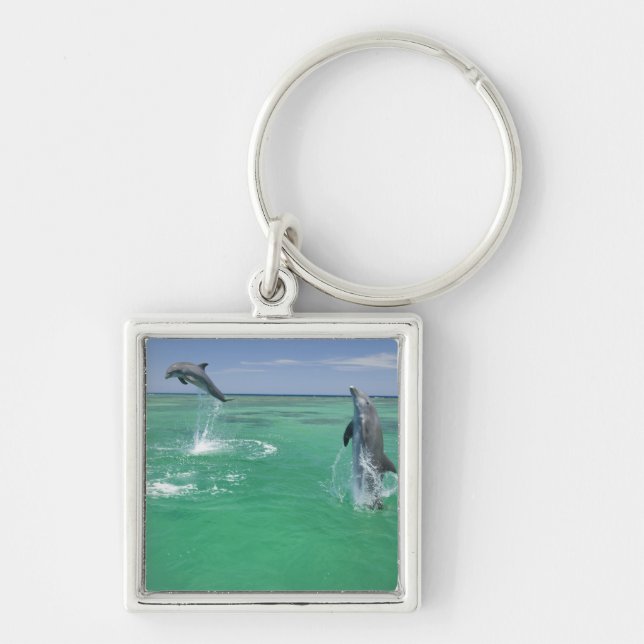 Bottlenose Dolphins Tursiops truncatus Keychain (Front)