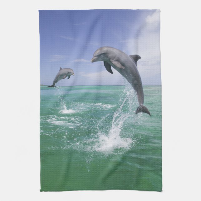Bottlenose Dolphins Tursiops truncatus Kitchen Towel (Vertical)