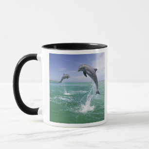 Bottlenose Dolphins Tursiops truncatus Mug