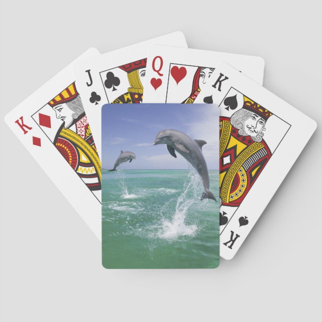 Bottlenose Dolphins Tursiops truncatus Poker Cards (Back)