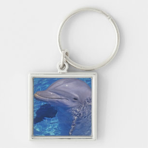Bottlenosed Dolphin, Tursiops Truncatus Keychain