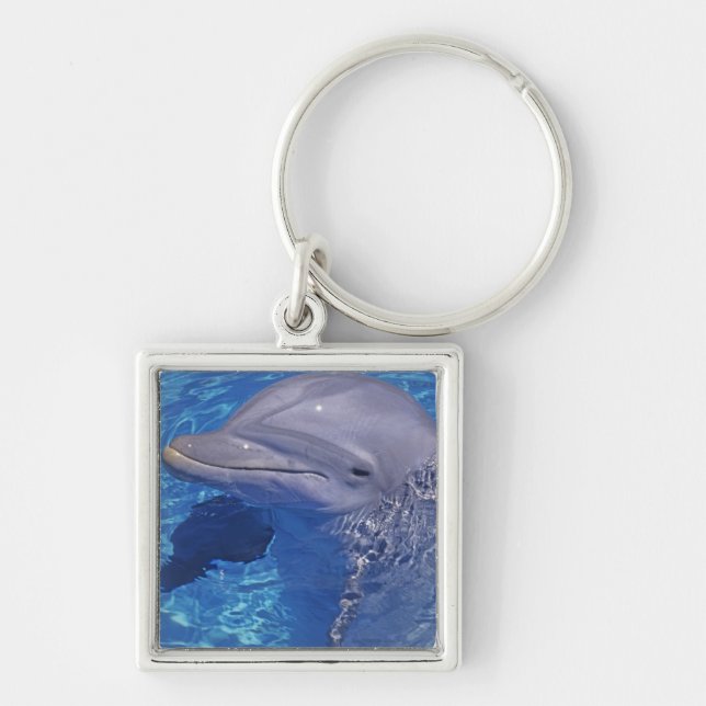 Bottlenosed Dolphin, Tursiops Truncatus Keychain (Front)