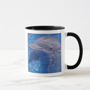 Bottlenosed Dolphin, Tursiops Truncatus Mug