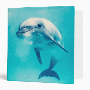 Bottlenosed Dolphin Underwater 3 Ring Binder