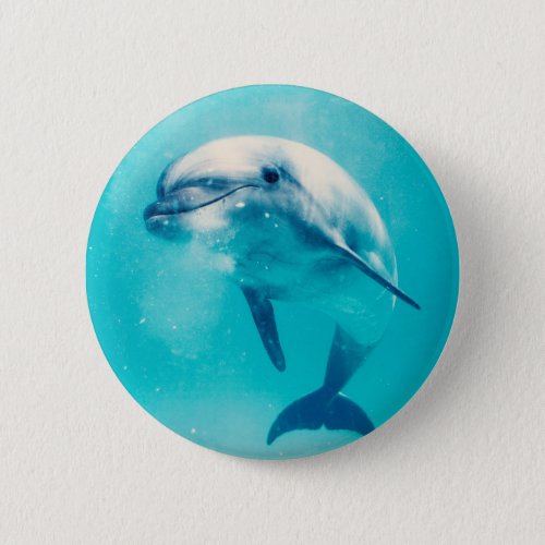 Bottlenosed Dolphin Underwater Button