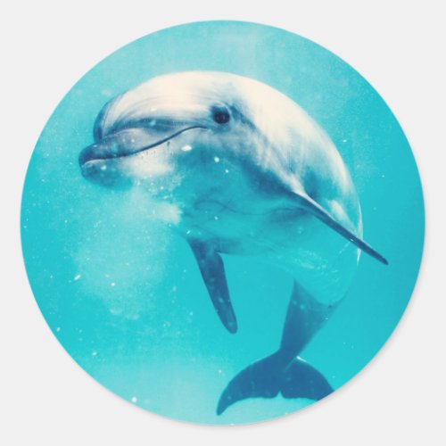 Bottlenosed Dolphin Underwater Classic Round Sticker