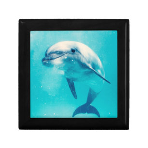 Bottlenosed Dolphin Underwater Keepsake Box