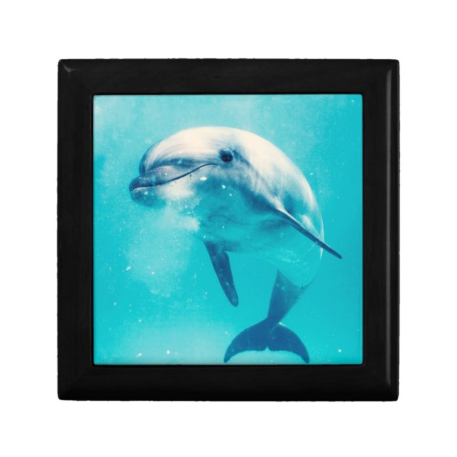 Bottlenosed Dolphin Underwater Keepsake Box (Front)