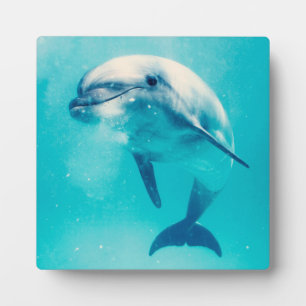 Bottlenosed Dolphin Underwater Plaque