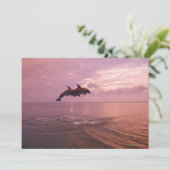 Bottlenosed Dolphins Jumping at Sunset (Standing Front)