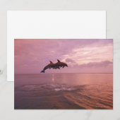 Bottlenosed Dolphins Jumping at Sunset (Front/Back)