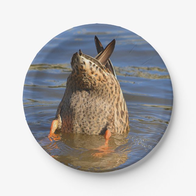 Bottoms Up Diving Duck Plate (Front)