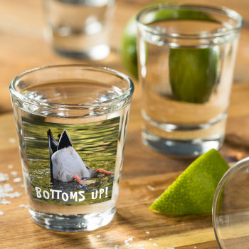 Bottoms Up Dunking Duck Photo Shot Glass by northwestphotos at Zazzle