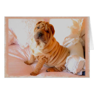 Boudoir Cards