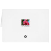 Bougainies Abounding Cards (Back Horizontal)