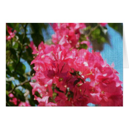 Bougainies Abounding Cards (Front Horizontal)