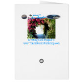 Bougainvillea (Back)