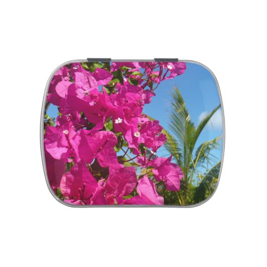 Bougainvillea and Palm Tree Tropical Nature Scene Candy Tin (Top)