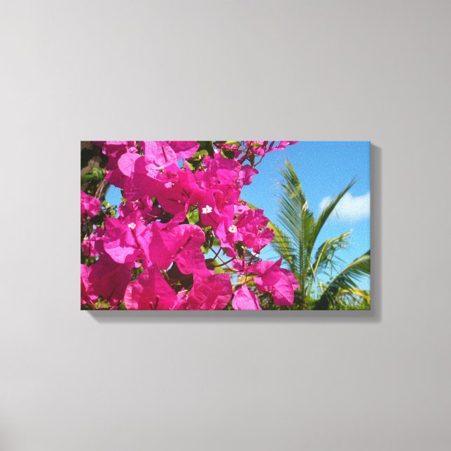 Bougainvillea and Palm Tree Tropical Nature Scene Canvas Print (Front)
