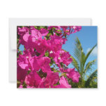 Bougainvillea and Palm Tree Tropical Nature Scene Card