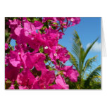 Bougainvillea and Palm Tree Tropical Nature Scene Card