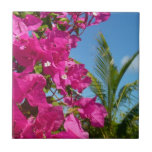 Bougainvillea and Palm Tree Tropical Nature Scene Ceramic Tile