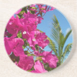 Bougainvillea and Palm Tree Tropical Nature Scene Coaster