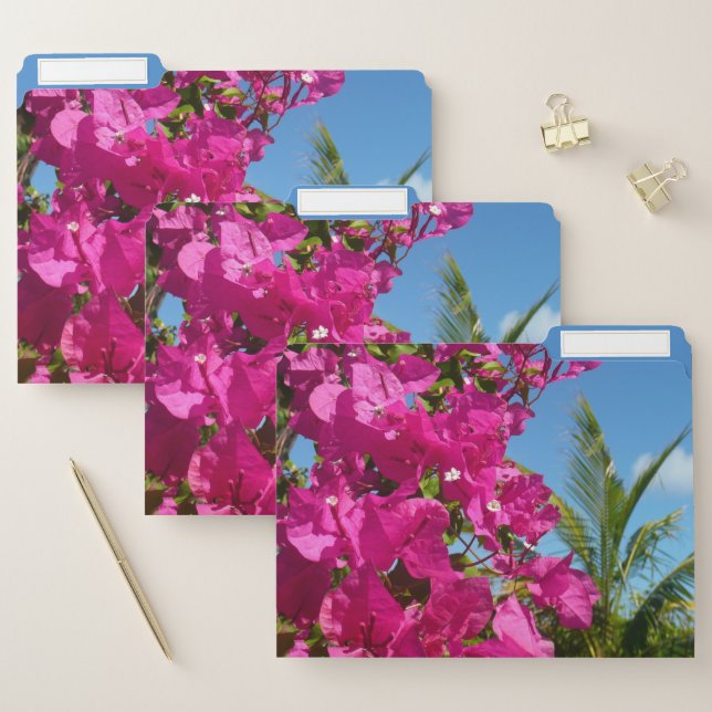 Bougainvillea and Palm Tree Tropical Nature Scene File Folder (Set)