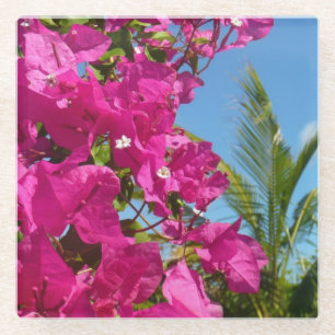 Bougainvillea and Palm Tree Tropical Nature Scene Glass Coaster