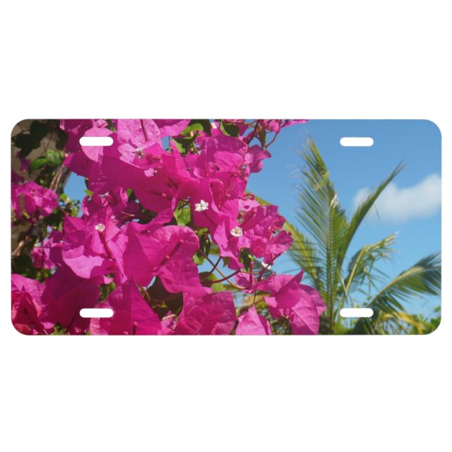 Bougainvillea and Palm Tree Tropical Nature Scene License Plate (Front)