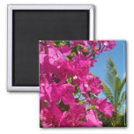 Bougainvillea and Palm Tree Tropical Nature Scene Magnet