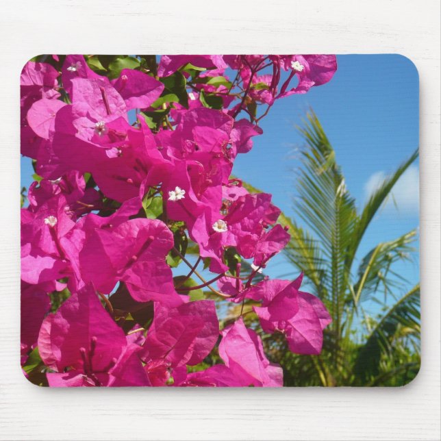 Bougainvillea and Palm Tree Tropical Nature Scene Mouse Pad (Front)